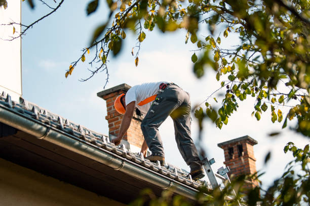 Best Tile Roofing Contractor  in Idylwood, VA
