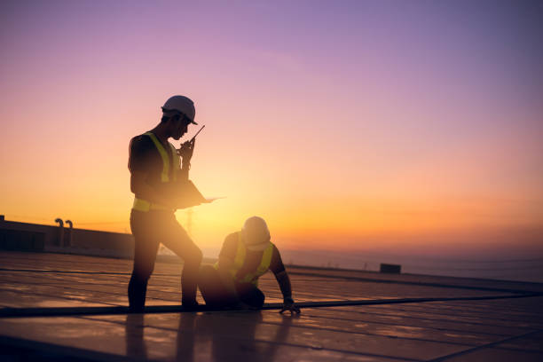 Best Roof Gutter Cleaning  in Idylwood, VA