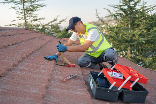 Best Roof Leak Repair  in Idylwood, VA